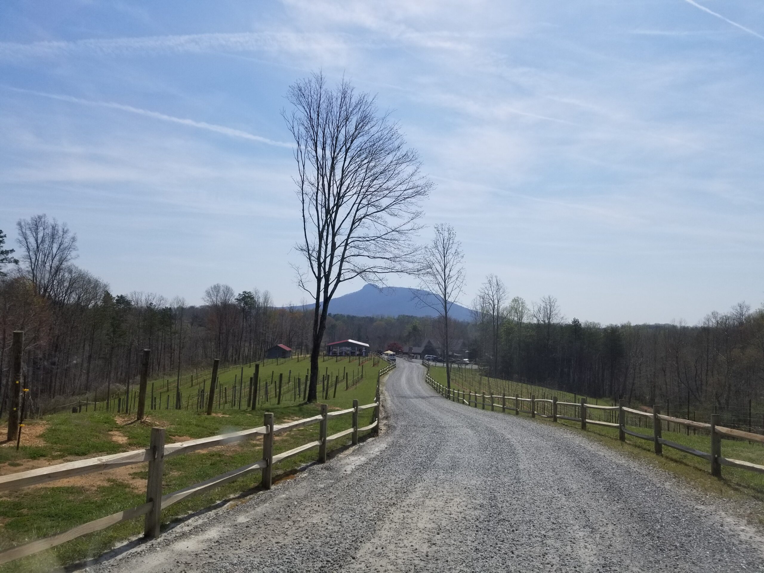 Chip-Sealing Services